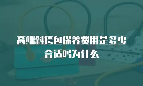 高端斜挎包保养费用是多少合适吗为什么