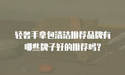 轻奢手拿包清洁推荐品牌有哪些牌子好的推荐吗？