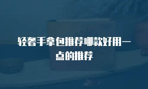 轻奢手拿包推荐哪款好用一点的推荐