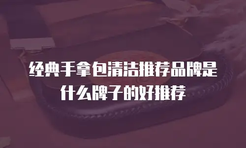 经典手拿包清洁推荐品牌是什么牌子的好推荐