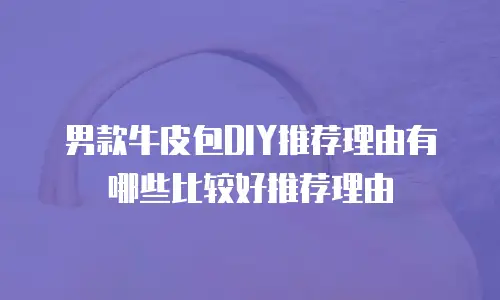 男款牛皮包DIY推荐理由有哪些比较好推荐理由