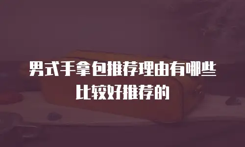 男式手拿包推荐理由有哪些比较好推荐的