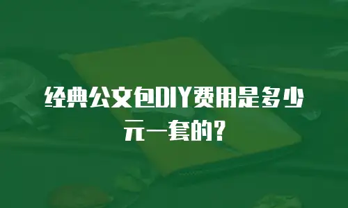 经典公文包DIY费用是多少元一套的？