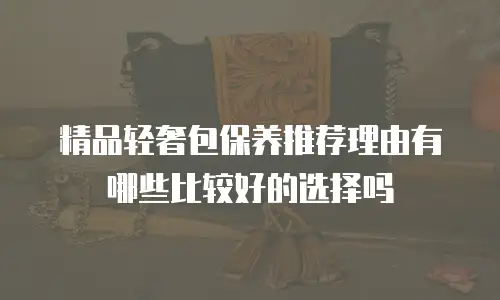精品轻奢包保养推荐理由有哪些比较好的选择吗