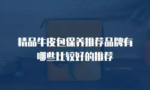 精品牛皮包保养推荐品牌有哪些比较好的推荐