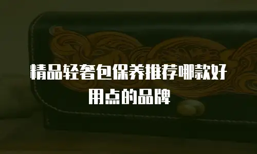 精品轻奢包保养推荐哪款好用点的品牌