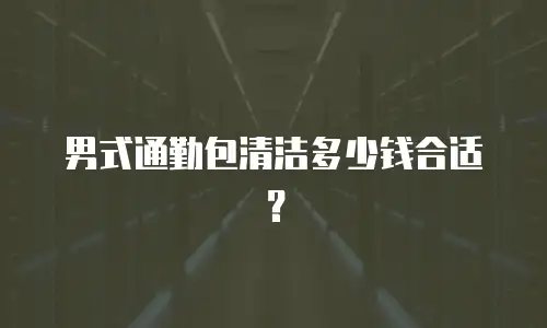 男式通勤包清洁多少钱合适？