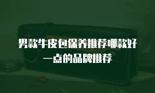男款牛皮包保养推荐哪款好一点的品牌推荐