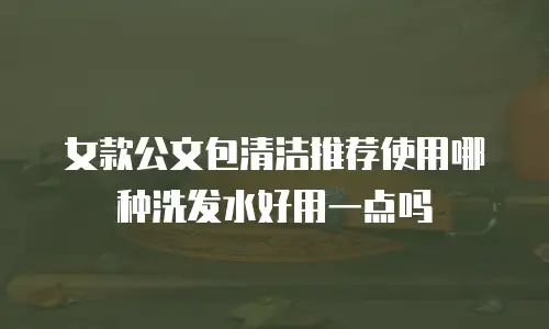女款公文包清洁推荐使用哪种洗发水好用一点吗