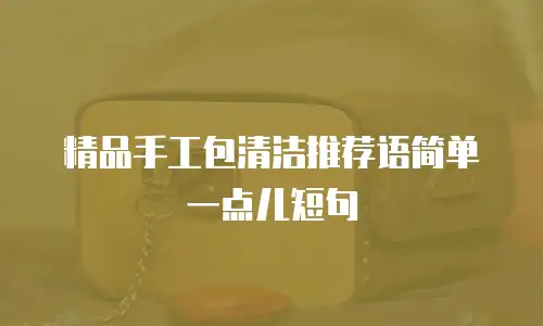 精品手工包清洁推荐语简单一点儿短句