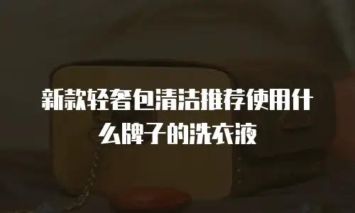 新款轻奢包清洁推荐使用什么牌子的洗衣液