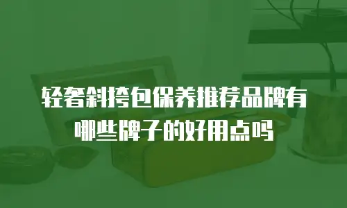 轻奢斜挎包保养推荐品牌有哪些牌子的好用点吗