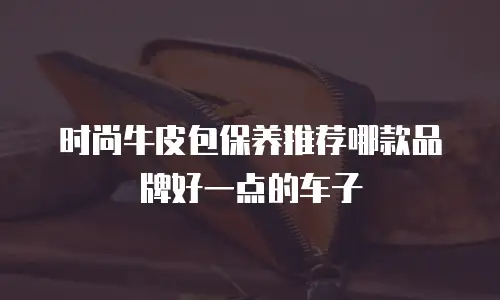 时尚牛皮包保养推荐哪款品牌好一点的车子