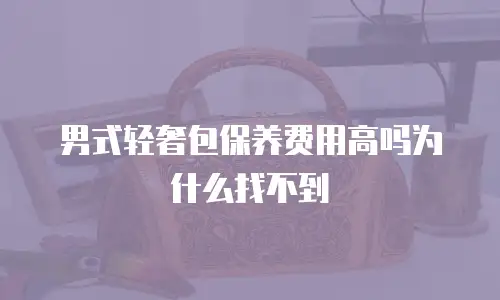 男式轻奢包保养费用高吗为什么找不到