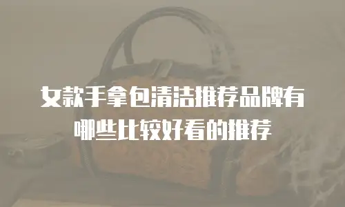 女款手拿包清洁推荐品牌有哪些比较好看的推荐
