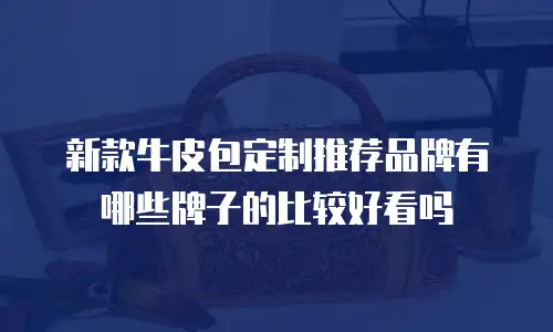 新款牛皮包定制推荐品牌有哪些牌子的比较好看吗