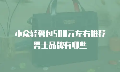 小众轻奢包500元左右推荐男士品牌有哪些