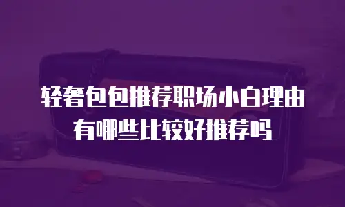 轻奢包包推荐职场小白理由有哪些比较好推荐吗