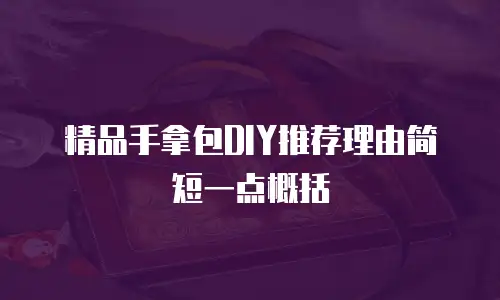 精品手拿包DIY推荐理由简短一点概括