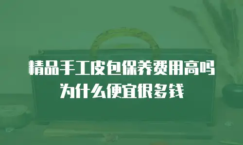 精品手工皮包保养费用高吗为什么便宜很多钱