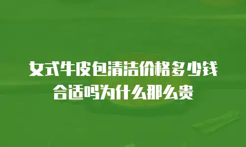 女式牛皮包清洁价格多少钱合适吗为什么那么贵