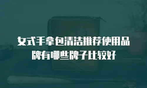 女式手拿包清洁推荐使用品牌有哪些牌子比较好