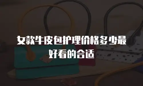 女款牛皮包护理价格多少最好看的合适