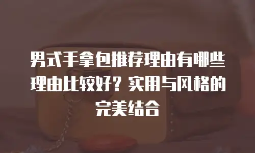 男式手拿包推荐理由有哪些理由比较好？实用与风格的完美结合