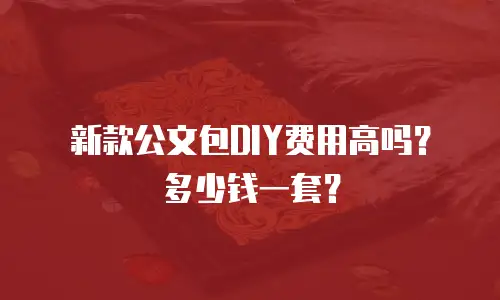 新款公文包DIY费用高吗？多少钱一套？