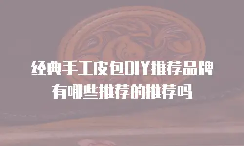 经典手工皮包DIY推荐品牌有哪些推荐的推荐吗