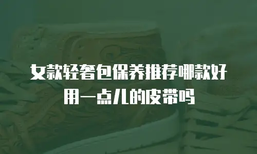 女款轻奢包保养推荐哪款好用一点儿的皮带吗
