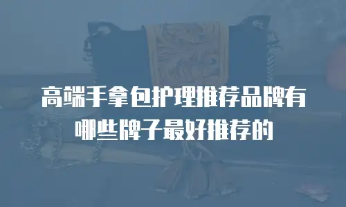 高端手拿包护理推荐品牌有哪些牌子最好推荐的
