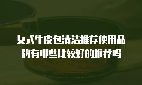 女式牛皮包清洁推荐使用品牌有哪些比较好的推荐吗