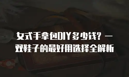 女式手拿包DIY多少钱？一双鞋子的最好用选择全解析