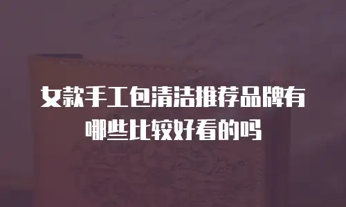 女款手工包清洁推荐品牌有哪些比较好看的吗