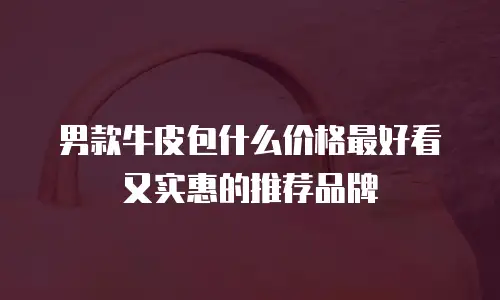 男款牛皮包什么价格最好看又实惠的推荐品牌