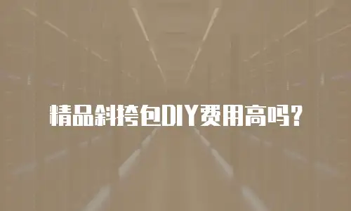 精品斜挎包DIY费用高吗？