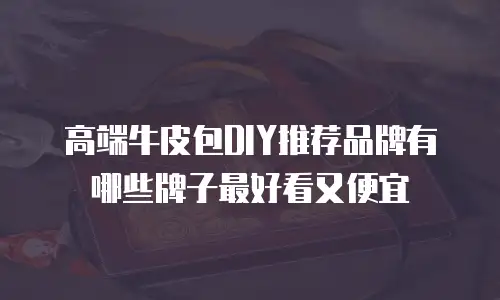 高端牛皮包DIY推荐品牌有哪些牌子最好看又便宜
