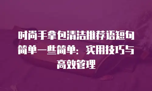 时尚手拿包清洁推荐语短句简单一些简单：实用技巧与高效管理
