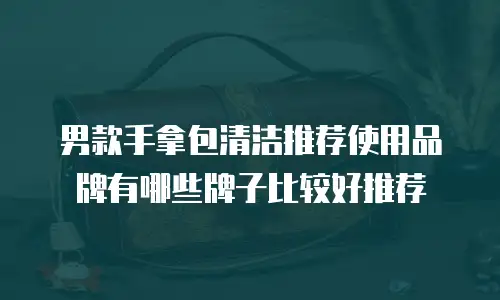 男款手拿包清洁推荐使用品牌有哪些牌子比较好推荐