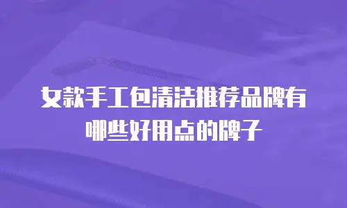 女款手工包清洁推荐品牌有哪些好用点的牌子
