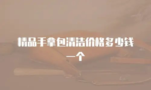 精品手拿包清洁价格多少钱一个