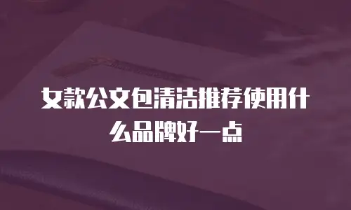 女款公文包清洁推荐使用什么品牌好一点