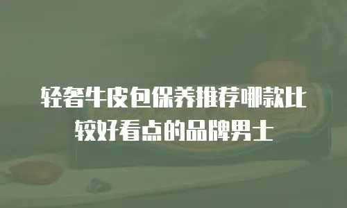 轻奢牛皮包保养推荐哪款比较好看点的品牌男士