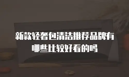 新款轻奢包清洁推荐品牌有哪些比较好看的吗