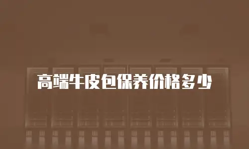 高端牛皮包保养价格多少