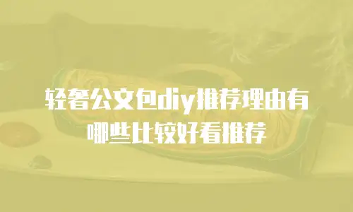 轻奢公文包diy推荐理由有哪些比较好看推荐