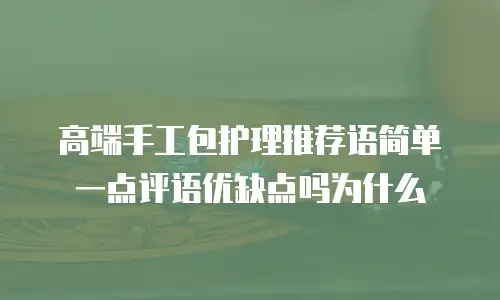 高端手工包护理推荐语简单一点评语优缺点吗为什么