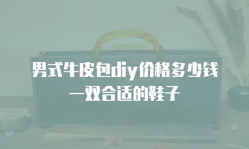 男式牛皮包diy价格多少钱一双合适的鞋子