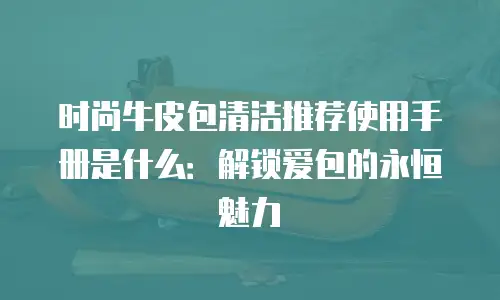 时尚牛皮包清洁推荐使用手册是什么：解锁爱包的永恒魅力